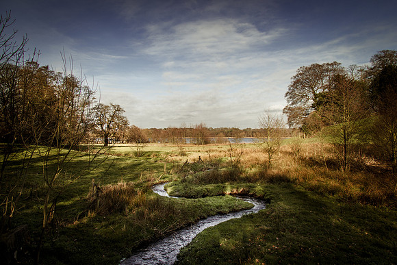 rostherne mere