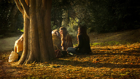 Cold Picnic