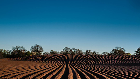 Farming Lines