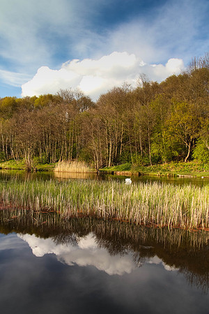 river weaver, winsford