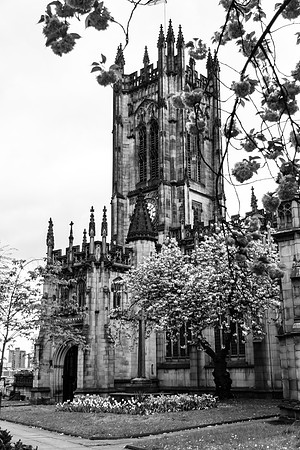 Manchester Cathedral