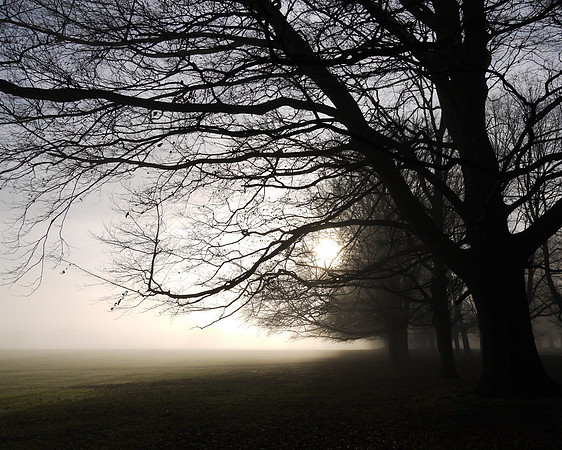 Misty Day